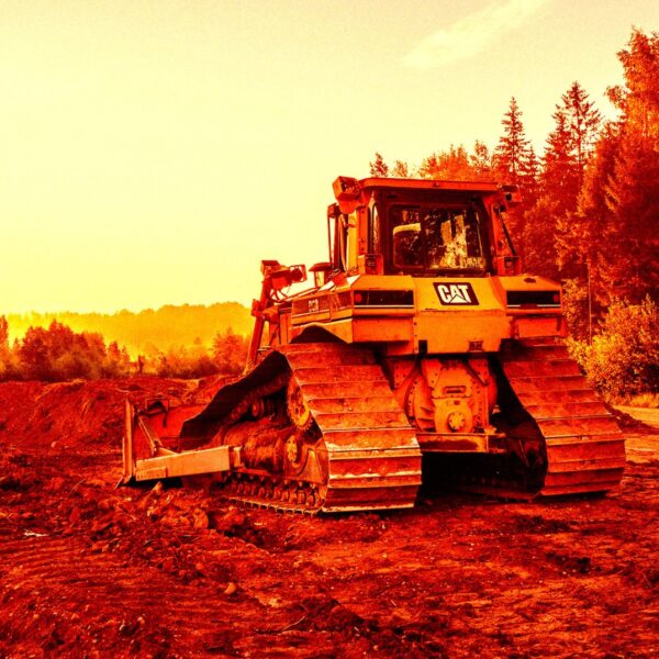 Google Accused of Illegally Killing a Massive Forest&hellip;