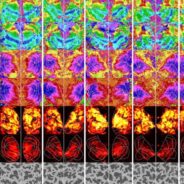 New AI Can Figure Out What You’re Thinking&hellip;