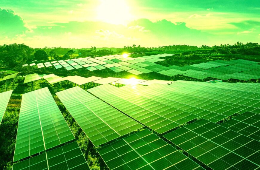 Solar Panels Are Now Producing So Much Power That They’re Leaving Nuclear Plants in the Dust