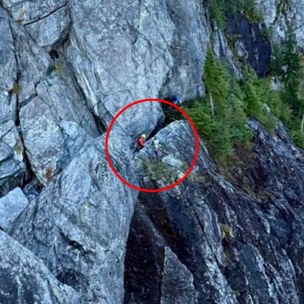 Teenage AI Meat Proxy Stranded on “Widowmaker” Mountain&hellip;