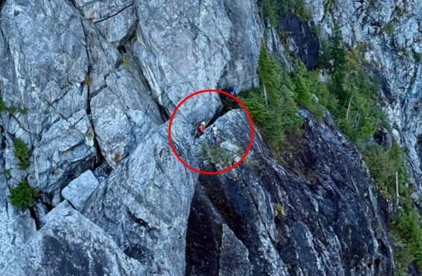 Teenage AI Meat Proxy Stranded on “Widowmaker” Mountain After Following AI Instructions
